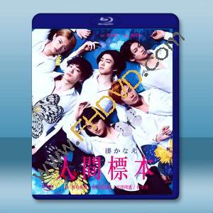 人類標本 人間標本 (2025)藍光25G 2碟L		 