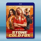 冷血狐狸 Stone Cold Fox (2025)藍光25G		 
