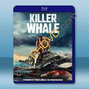 殺人鯨 Killer Whale(2026)藍光25G		 