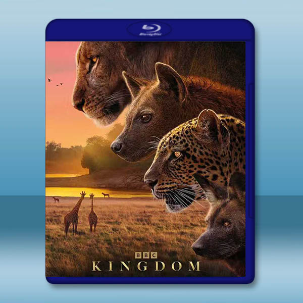 動物王國 Kingdom (2025)藍光25G 2碟		 