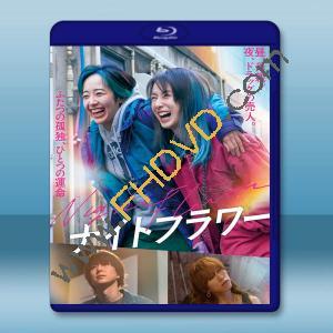午夜之花 ナイトフラワー(2025)藍光25G L		 