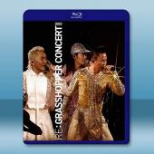 草蜢演唱會2022 Live(2022)藍光25G 2碟