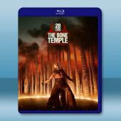 28年毀滅倒數：人骨聖殿/驚變28年2：白骨聖殿 (2026)藍光25G		 