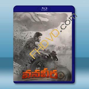 末裔騎士 Vanaveera(2026)藍光25G		 