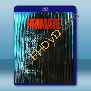 猩瘋血雨 Primate (2025)藍光25G		 