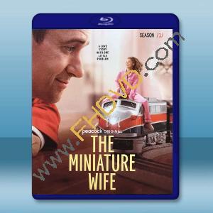 迷你妻子 第一季 The Miniature Wife S1(2026)藍光25G 2碟L		 