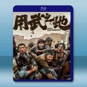 用武之地 (2025)藍光25G		 