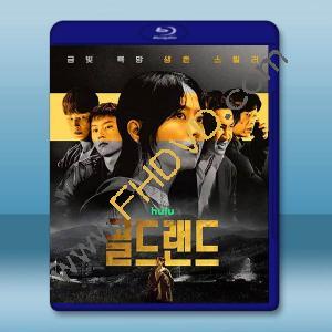 賭金 (2026)藍光25G 2碟		 