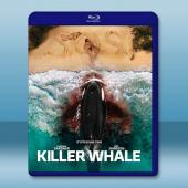 殺人鯨 Killer Whale(2026)藍光25G藍...