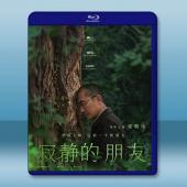 你是不會當樹嗎/寂靜的朋友 Stiller Freund(2025)藍光25G		 